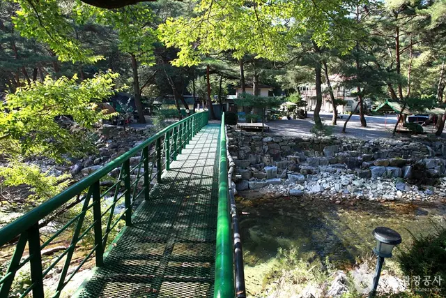 법흥계곡 사진
