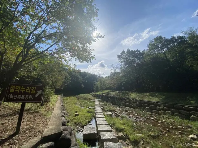 설악산 자생식물원 사진