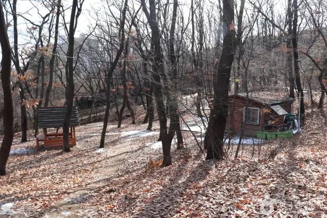 오동근린공원 유아숲체험장 사진