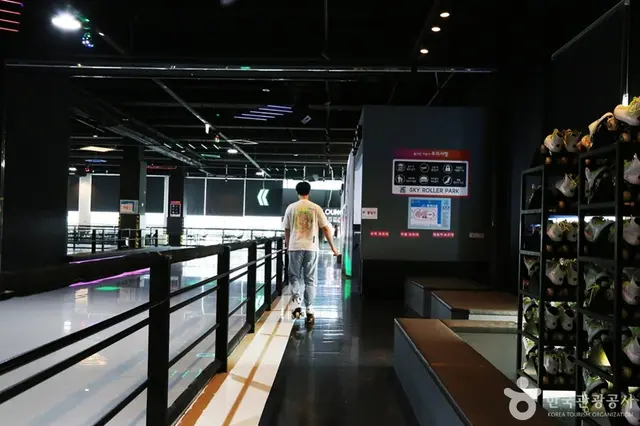 스카이롤러파크 사진