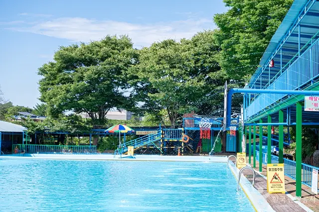 황금수영장 사진