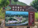삼척활기자연휴양림 사진