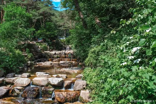 오도산자연휴양림 사진