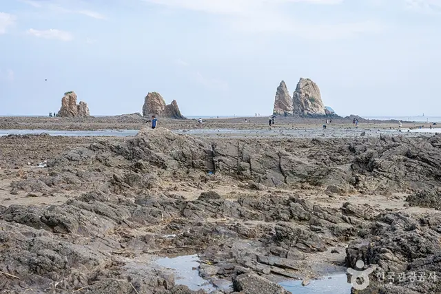 제부리어촌체험마을 사진