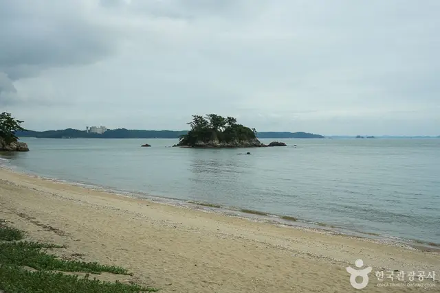 용신어촌체험마을 사진