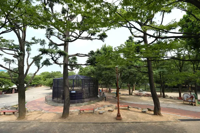 달성공원 사진