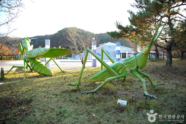 화천생태영상센터 사진