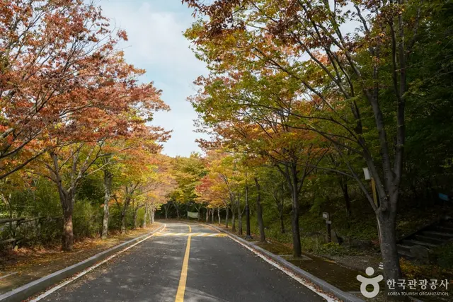 경상북도수목원 사진