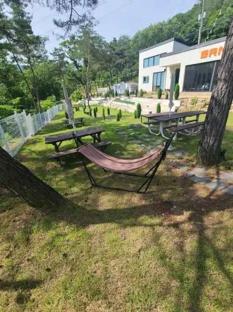 산내956 사진
