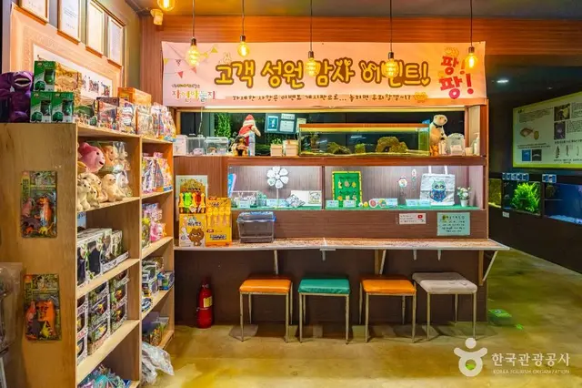 강릉생태체험박물관 자연아놀자 사진