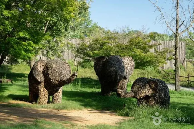 전주동물원 사진