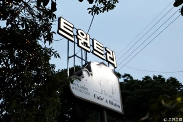 트윈트리 사진