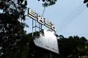 트윈트리 사진