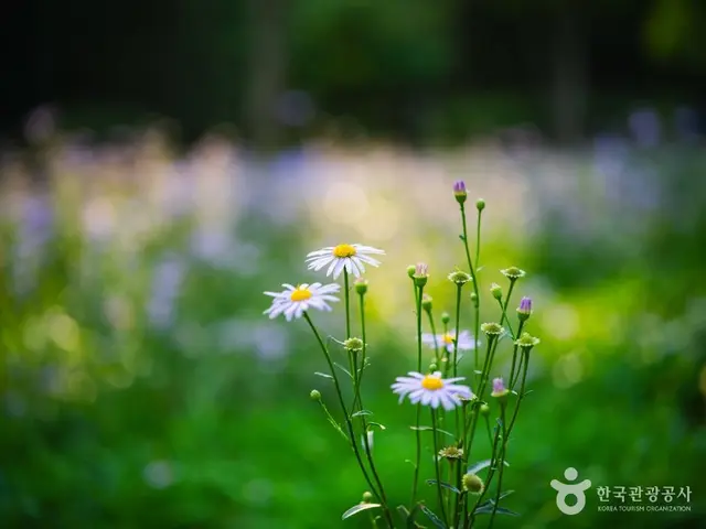 서울숲 사진