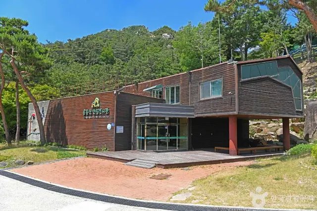 용봉산자연휴양림 사진
