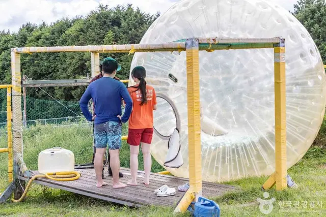 빅볼랜드 사진