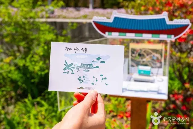 국립세종수목원 사진