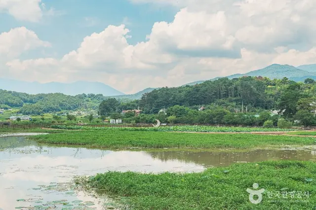 불고기 팜 농어촌 테마공원 사진