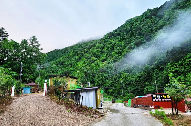 바람부리별밤캠핑장 관광농원 사진