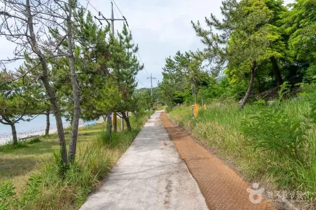 낭도해변 사진