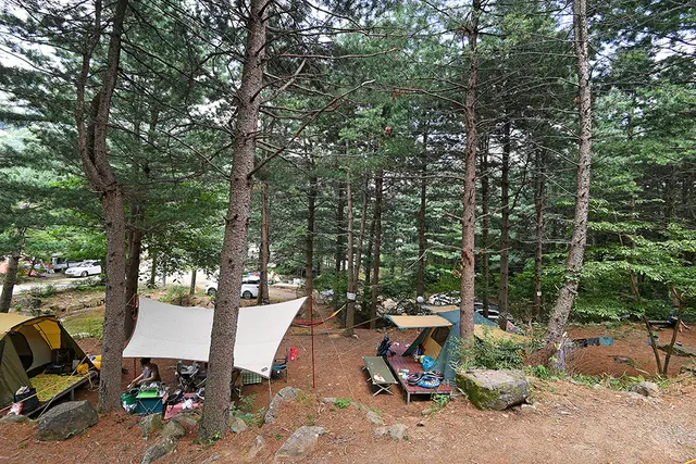 지리산숲속의쉼터 사진