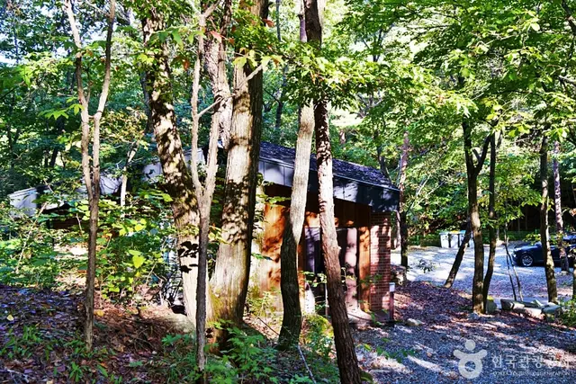 조령산자연휴양림 사진