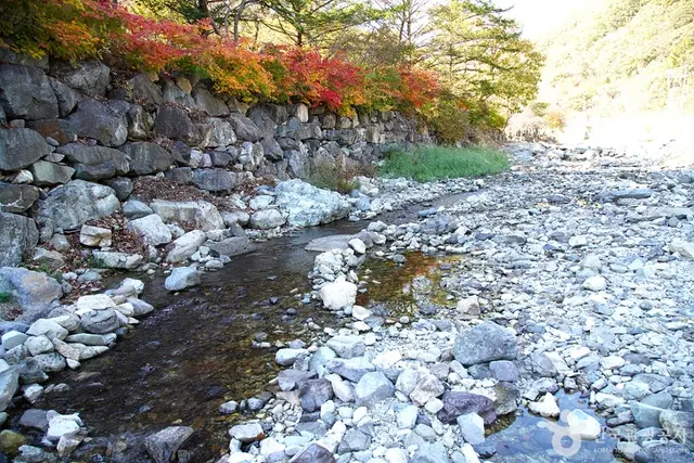 담터계곡 사진