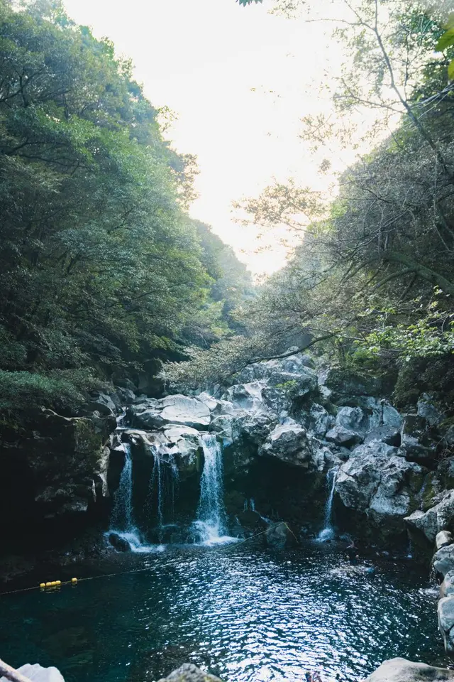 돈내코유원지 사진
