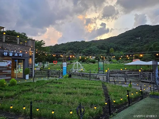 산들소리 사진