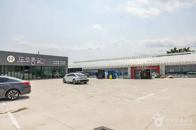 또로롱딸기 사진
