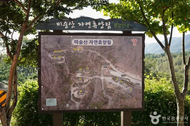미숭산자연휴양림 사진