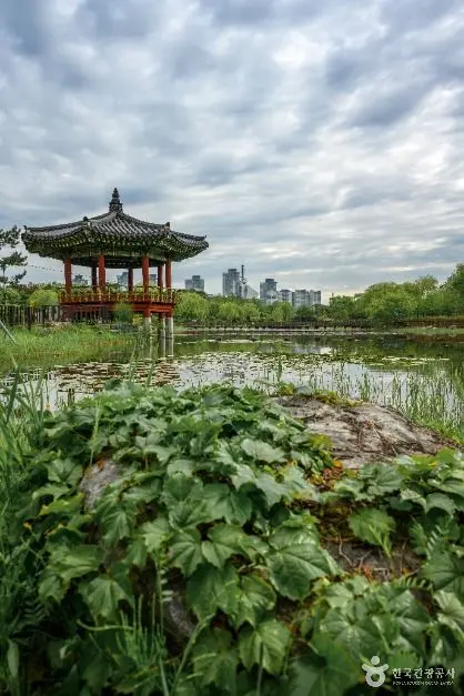 한밭수목원 사진