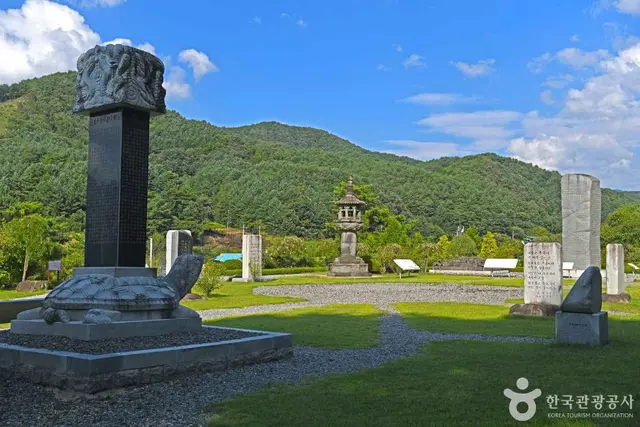 홍천 척야산 문화수목원 사진