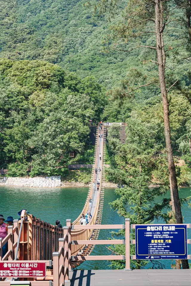 마장호수 출렁다리 사진