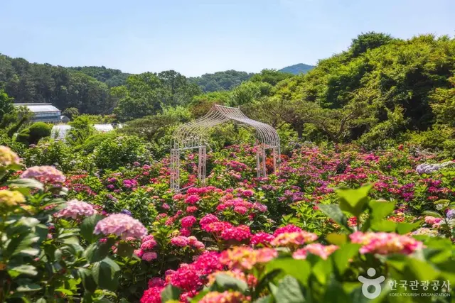 율봄식물원 사진
