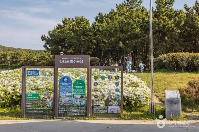 다대포해수욕장 사진