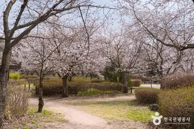인천대공원 사진