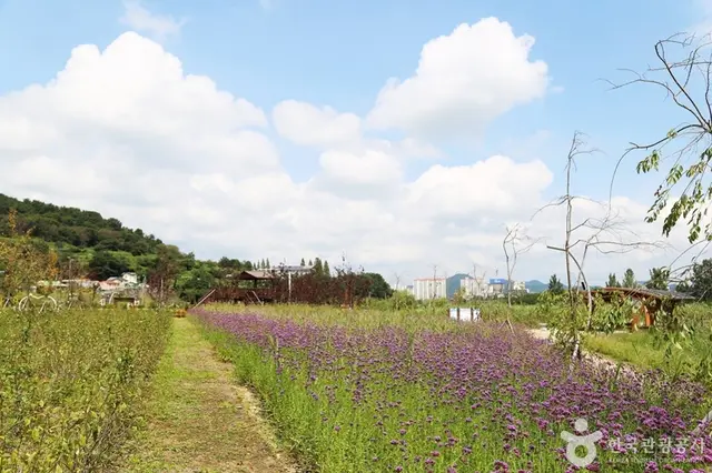 수남유수지생태공원 사진