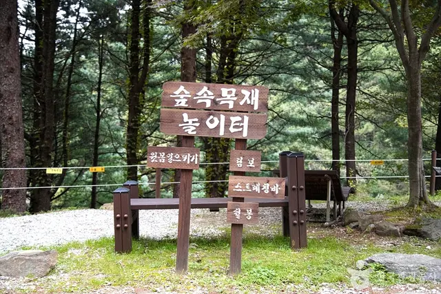 국립 백운산자연휴양림(원주) 사진