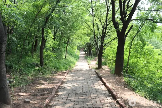 침산공원 사진