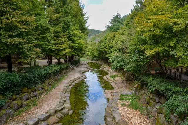 상소동 산림욕장 사진