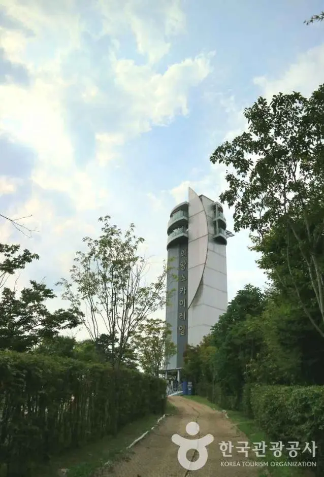 왕송호수공원 사진