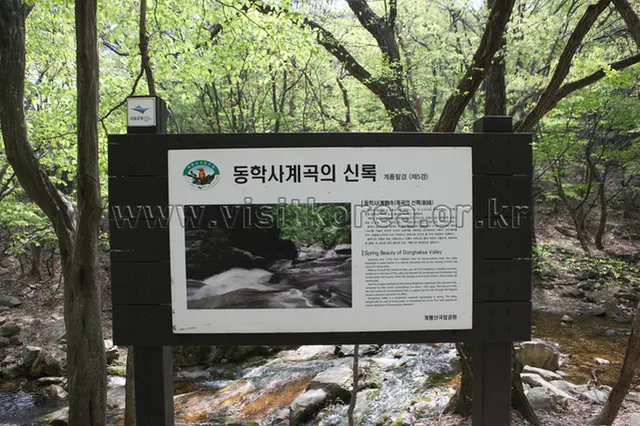동학사계곡 사진