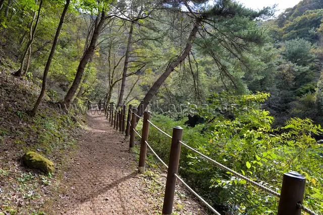 상소동 산림욕장 사진