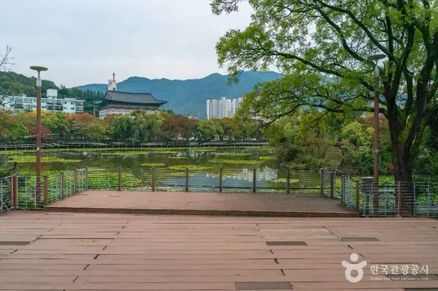 성당못 사진