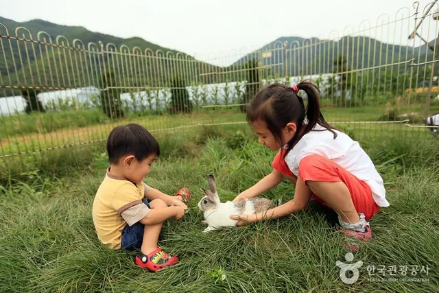 애심목장 사진