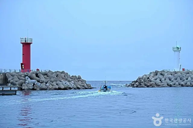 갈남항 사진