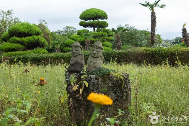 제주 센트럴파크 사진