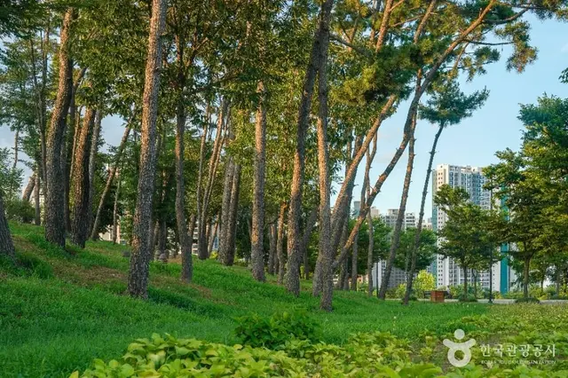 중산지 사진
