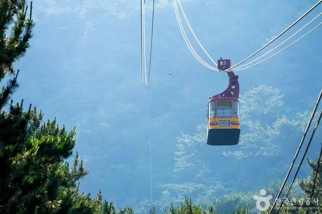 금강공원 사진